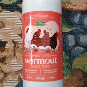 Laying Hen Workout Solution