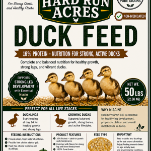16% Duck Feed